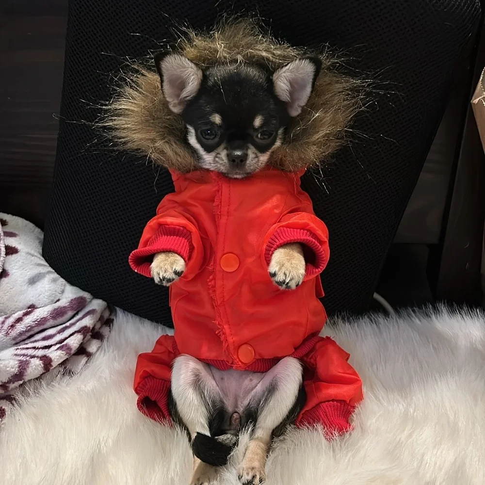 Cozy dog winter jacket